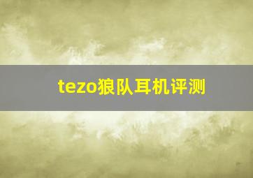 tezo狼队耳机评测