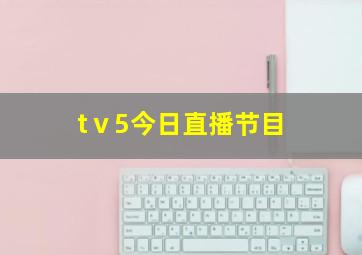 tⅴ5今日直播节目