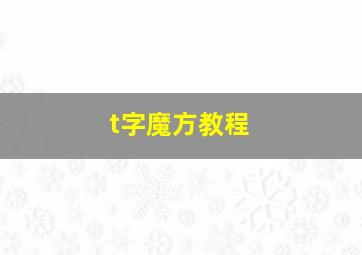 t字魔方教程