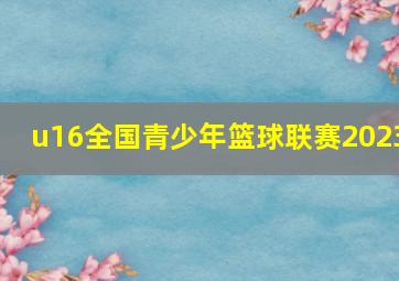 u16全国青少年篮球联赛2023