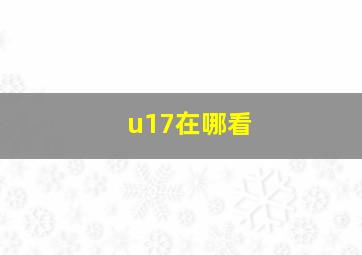 u17在哪看