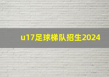 u17足球梯队招生2024