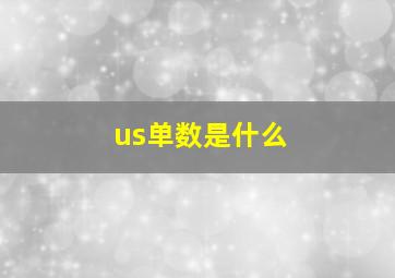 us单数是什么