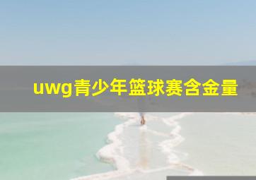 uwg青少年篮球赛含金量