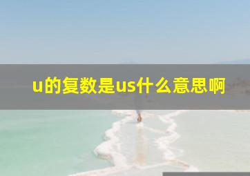 u的复数是us什么意思啊