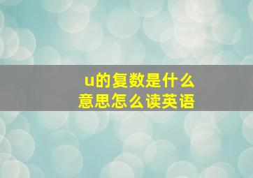 u的复数是什么意思怎么读英语