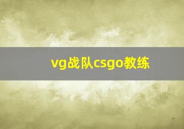 vg战队csgo教练