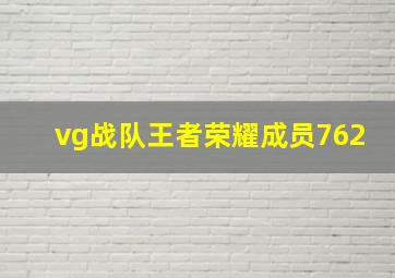 vg战队王者荣耀成员762