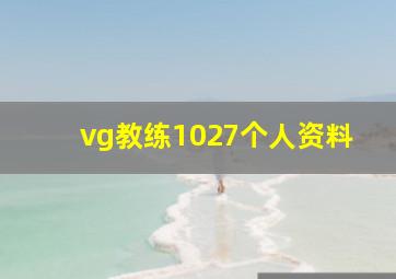 vg教练1027个人资料