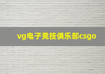 vg电子竞技俱乐部csgo