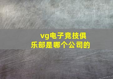 vg电子竞技俱乐部是哪个公司的