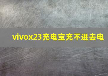 vivox23充电宝充不进去电