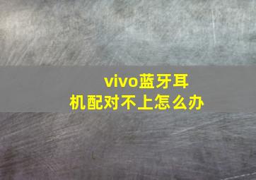 vivo蓝牙耳机配对不上怎么办