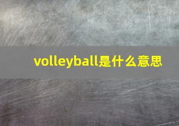 volleyball是什么意思