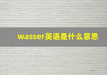 wasser英语是什么意思