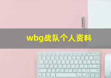 wbg战队个人资料