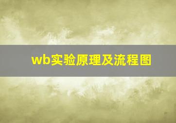 wb实验原理及流程图