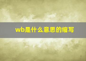 wb是什么意思的缩写