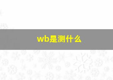 wb是测什么