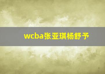 wcba张亚琪杨舒予