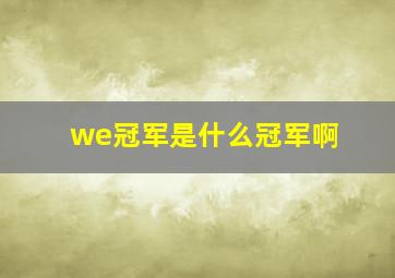 we冠军是什么冠军啊