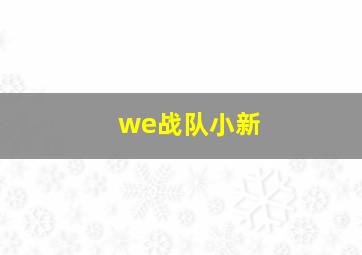 we战队小新