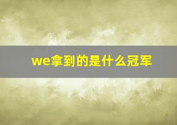 we拿到的是什么冠军