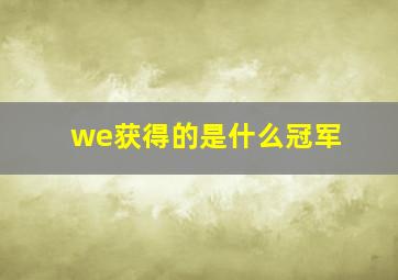 we获得的是什么冠军