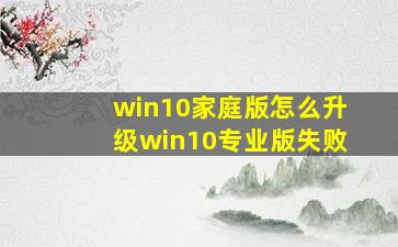 win10家庭版怎么升级win10专业版失败