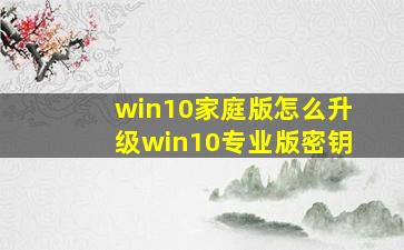 win10家庭版怎么升级win10专业版密钥