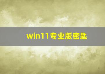 win11专业版密匙