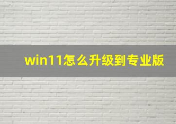 win11怎么升级到专业版