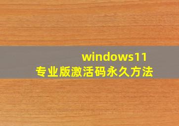 windows11专业版激活码永久方法