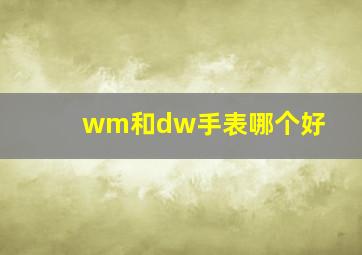 wm和dw手表哪个好