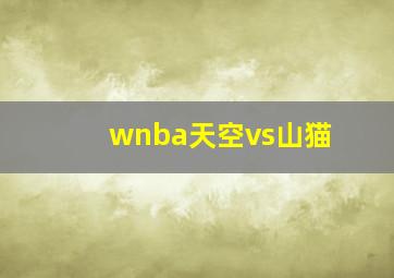 wnba天空vs山猫