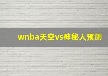 wnba天空vs神秘人预测