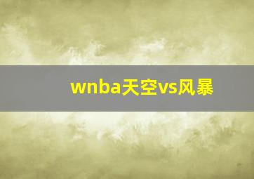 wnba天空vs风暴