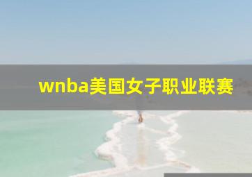 wnba美国女子职业联赛