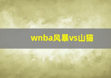 wnba风暴vs山猫