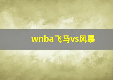 wnba飞马vs风暴