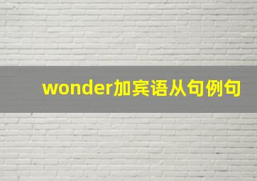 wonder加宾语从句例句