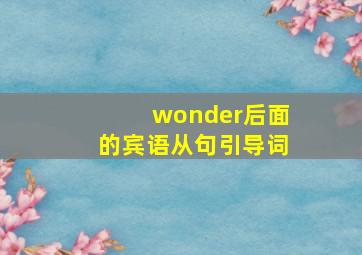 wonder后面的宾语从句引导词