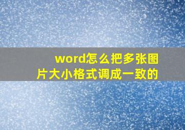 word怎么把多张图片大小格式调成一致的