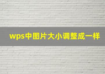 wps中图片大小调整成一样