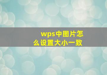 wps中图片怎么设置大小一致