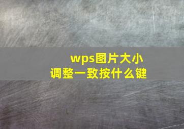 wps图片大小调整一致按什么键