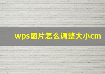 wps图片怎么调整大小cm