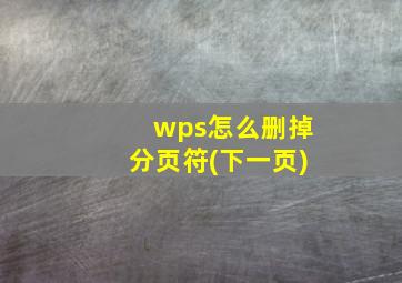 wps怎么删掉分页符(下一页)