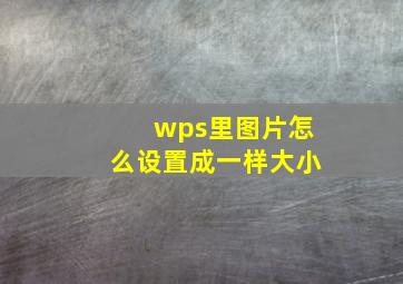 wps里图片怎么设置成一样大小