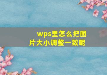 wps里怎么把图片大小调整一致呢